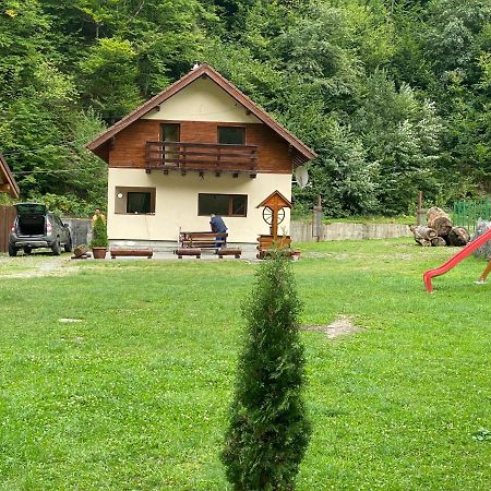 Casuta Din Poiana Rau Sadului Villa Exteriör bild