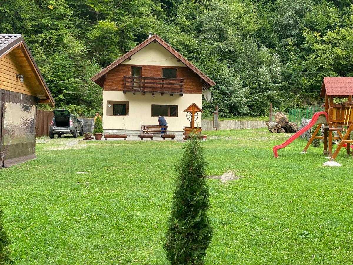 Casuta Din Poiana Rau Sadului Villa Exteriör bild