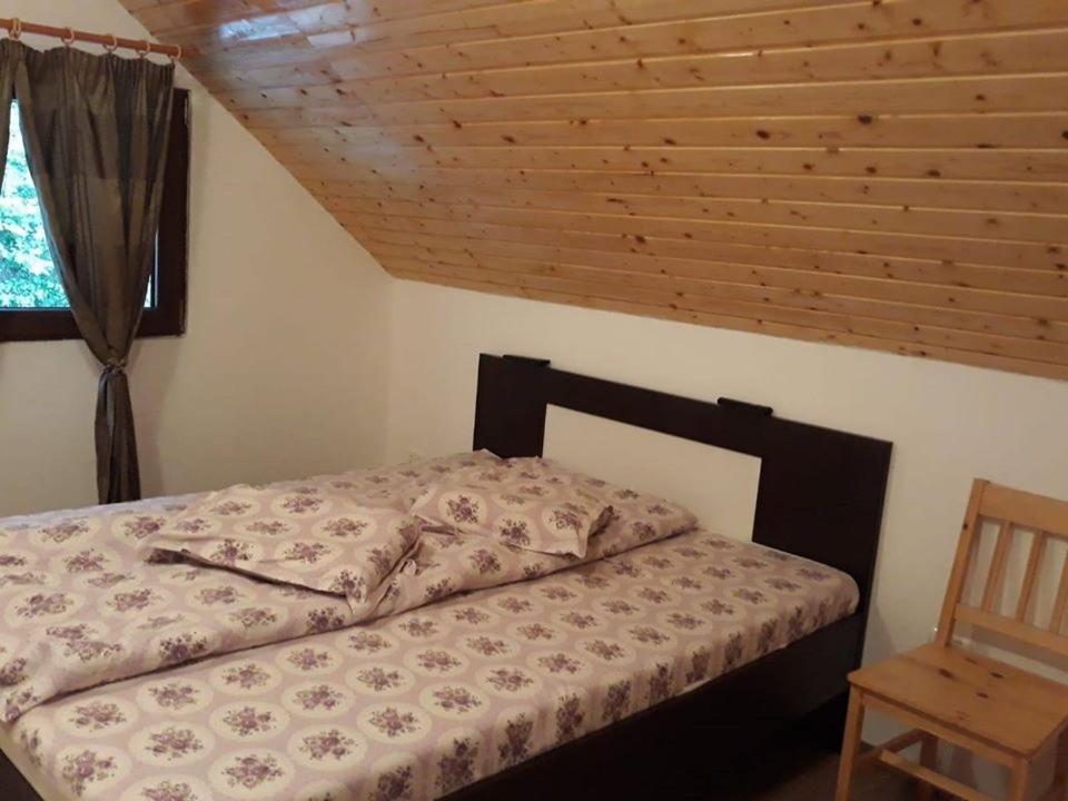 Casuta Din Poiana Rau Sadului Villa Exteriör bild